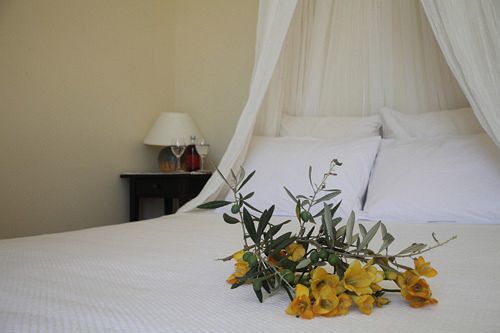 Urania Luxury Villas Pondi Екстериор снимка